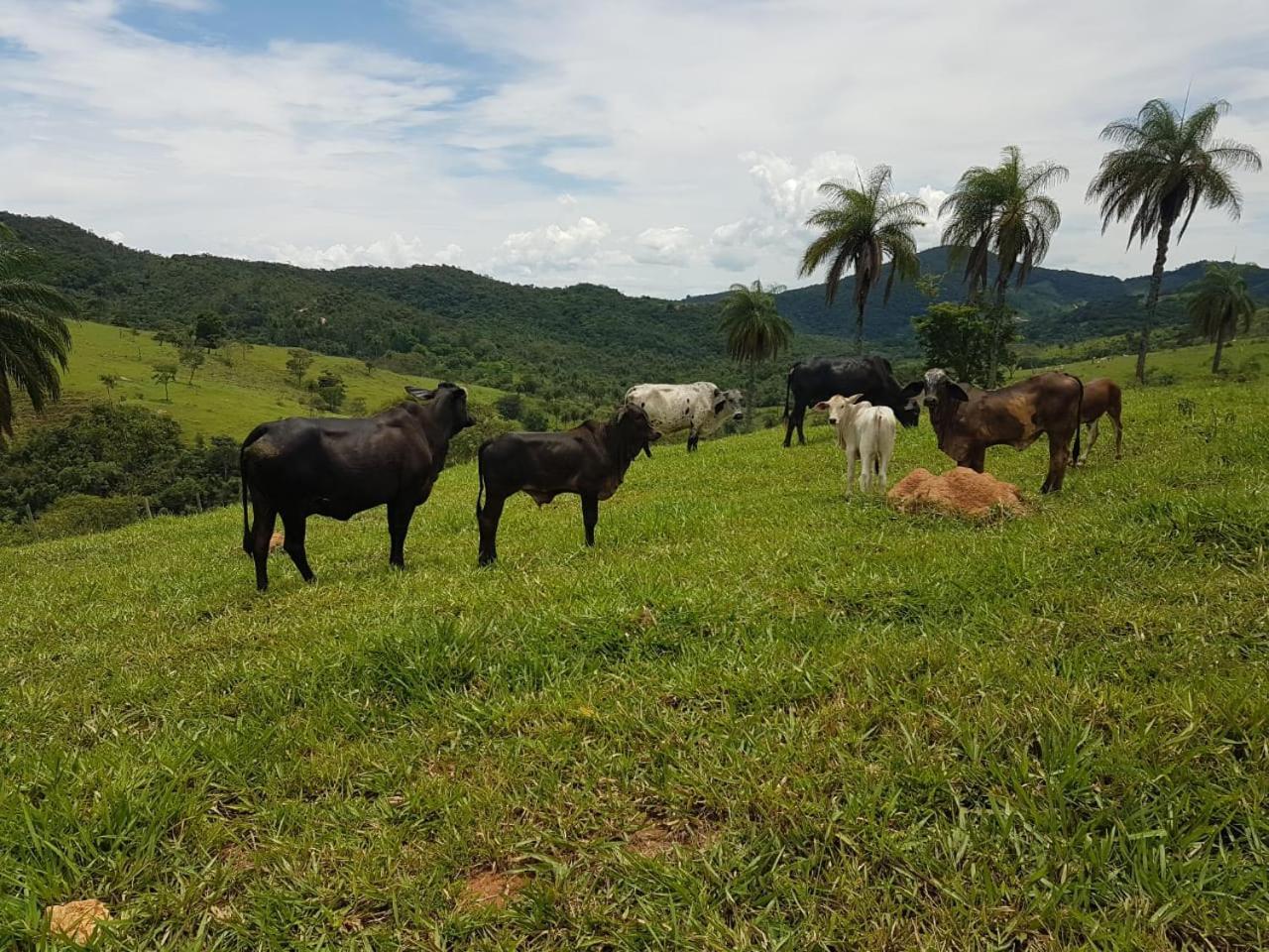 Pousada Rancho Flores Каете Екстер'єр фото